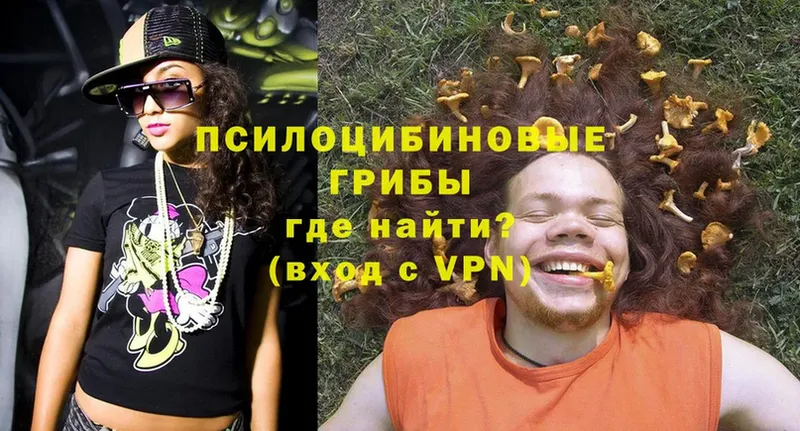 Псилоцибиновые грибы Psilocybe  hydra ССЫЛКА  Оханск 